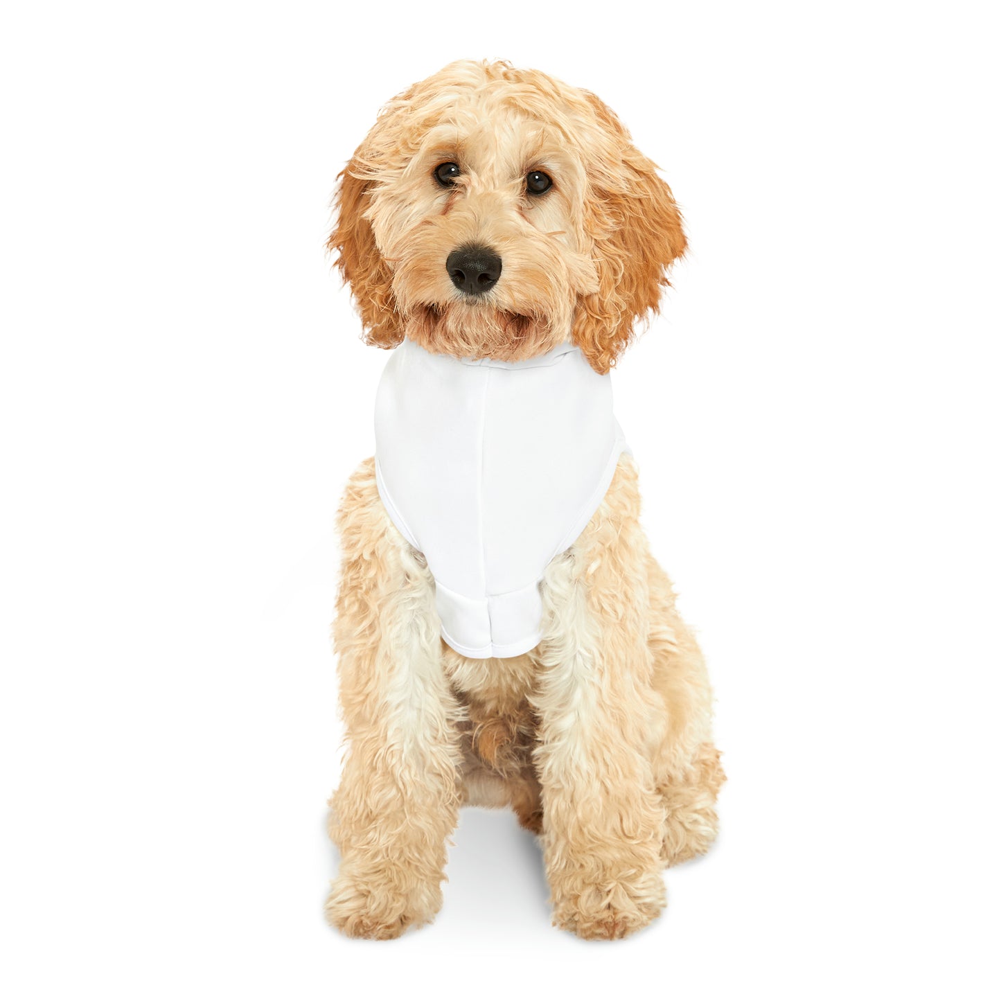 ORS Doggo Hoodie