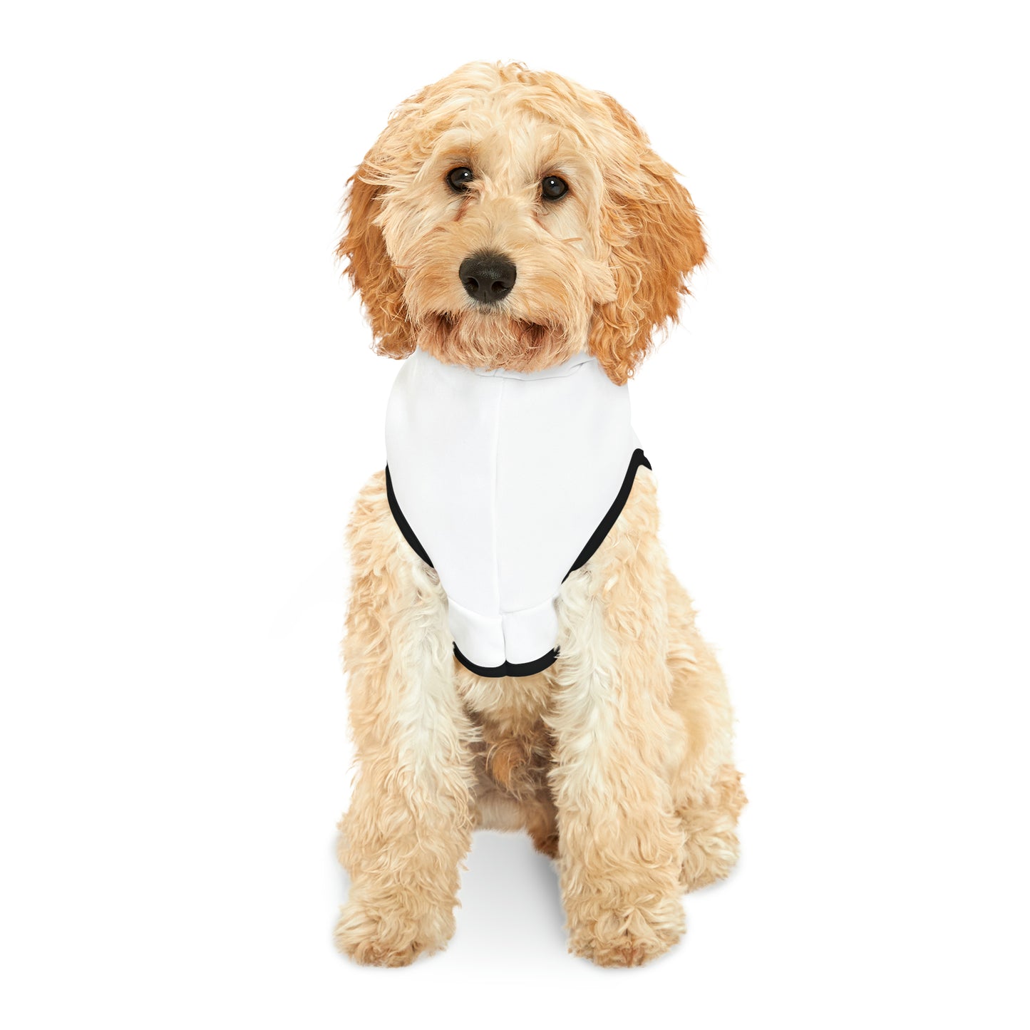 ORS Doggo Hoodie