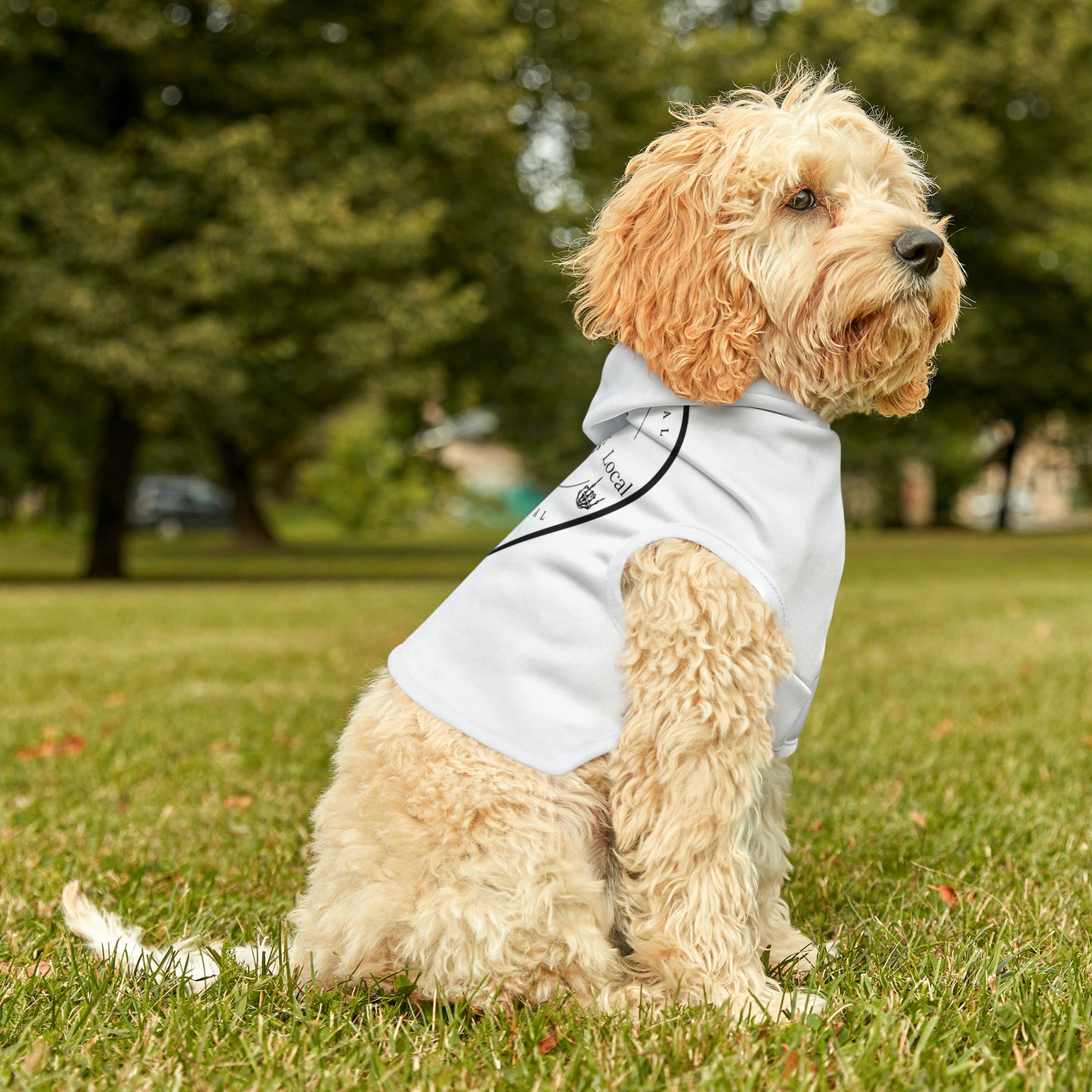ORS Doggo Hoodie