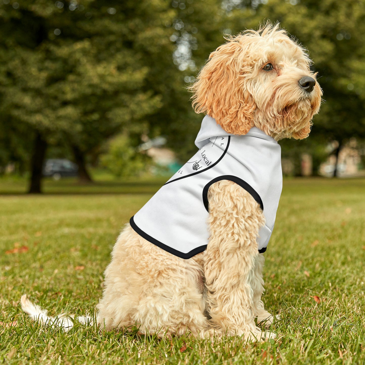 ORS Doggo Hoodie
